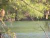 ������������� �����������